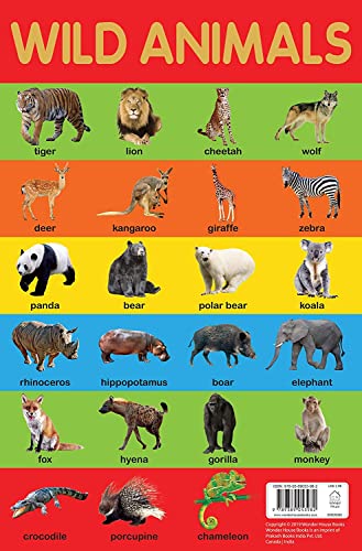 9789389053982: Wild Animals Chart - Early Learning Educational Chart For  Kids: Perfect For Homeschooling, Kindergarten and Nursery Students (  Inches X  Inches) - Wonder House Books: 9389053986 - AbeBooks