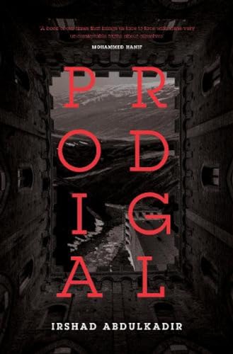 Stock image for Prodigal for sale by Books Puddle