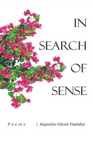 Stock image for In Search of Sense for sale by Books Puddle