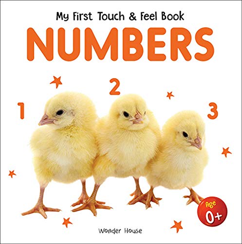 Stock image for My First Book Of Touch And Feel - Numbers : Touch And Feel Board Book For CHildren for sale by Books Puddle