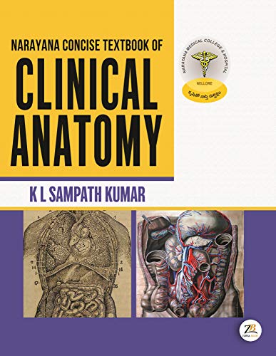 Stock image for Narayana Concise Textbook of Clinical Anatomy for sale by Books Puddle