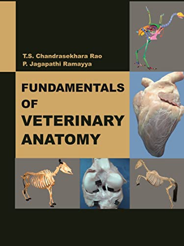 Stock image for Fundamentals of Veterinary Anatomy for sale by Books Puddle