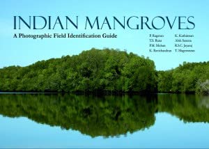 Stock image for Indian Mangroves for sale by Books Puddle