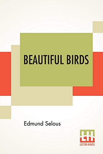 Stock image for Beautiful Birds for sale by Blackwell's
