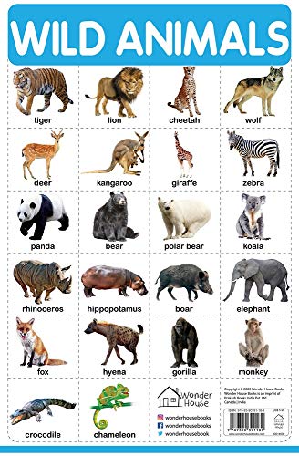 wonder house - wild animals chart early - AbeBooks
