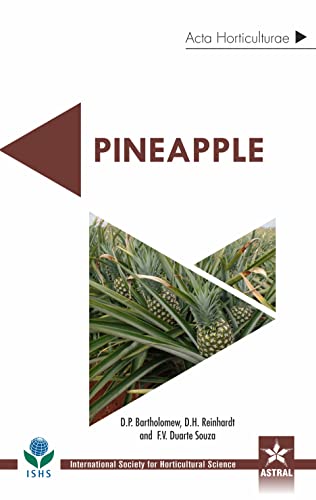 Stock image for Pineapple Acta Horticulturae 1239 for sale by Books in my Basket