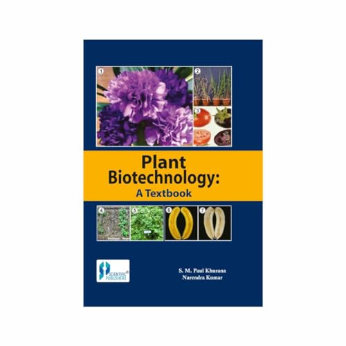 Stock image for Plant Biotechnology A Text Book for sale by Books in my Basket