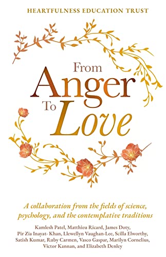 Imagen de archivo de From Anger to Love a la venta por Big River Books