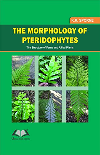 Imagen de archivo de The Morphology of Pteridophytes the Structure of Ferns and Apllied Plants a la venta por Books Puddle