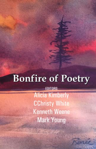 Imagen de archivo de Bonfire of Poetry a la venta por Friends of  Pima County Public Library