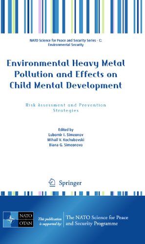 Stock image for Environmental Heavy Metal Pollution and Effects on Child Mental Development: Risk Assessment and Prevention Strategies (NATO Science for Peace and Security Series C: Environmental Security) for sale by Lucky's Textbooks