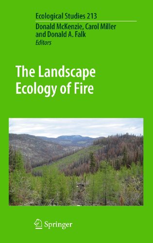 Stock image for The Landscape Ecology of Fire (Ecological Studies, 213) for sale by HPB-Red