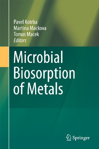 Microbial Biosorption of Metals - Kotrba, Pavel, Martina Mackova und Tomas Macek