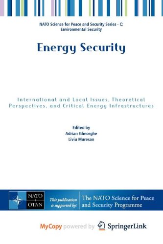 9789400707207: Energy Security: International and Local Issues, Theoretical Perspectives, and Critical Energy Infrastructures
