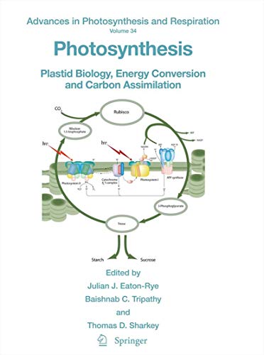 Beispielbild fr Photosynthesis: Plastid Biology, Energy Conversion and Carbon Assimilation (Advances in Photosynthesis and Respiration, 34) [Hardcover] Eaton-Rye, Julian J.; Tripathy, Baishnab C. and Sharkey, Thomas D. zum Verkauf von Particular Things