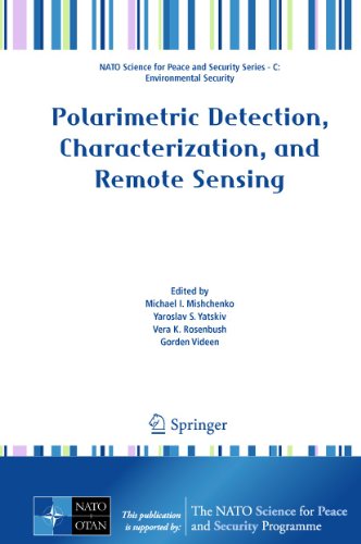 Stock image for Polarimetric Detection, Characterization and Remote Sensing for sale by ThriftBooks-Atlanta