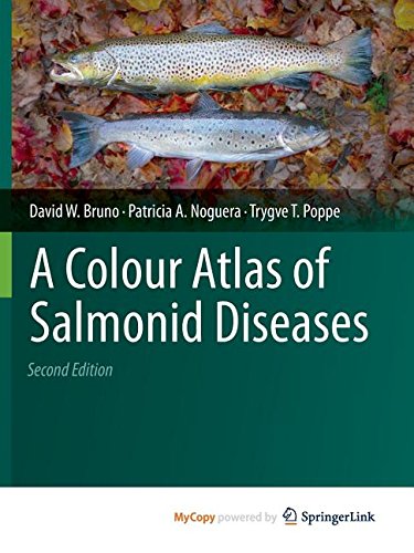9789400720114: A Colour Atlas of Salmonid Diseases