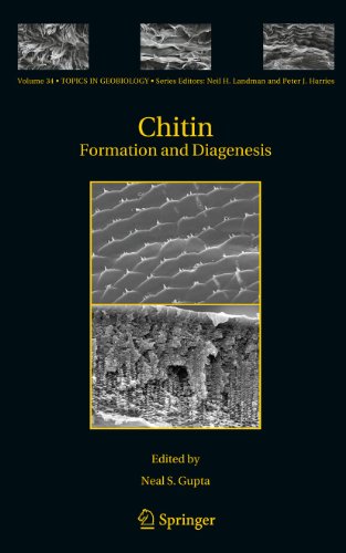 9789400734487: Chitin: Formation and Diagenesis (Topics in Geobiology, 34)