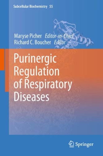 Stock image for Purinergic Regulation of Respiratory Diseases for sale by Ria Christie Collections