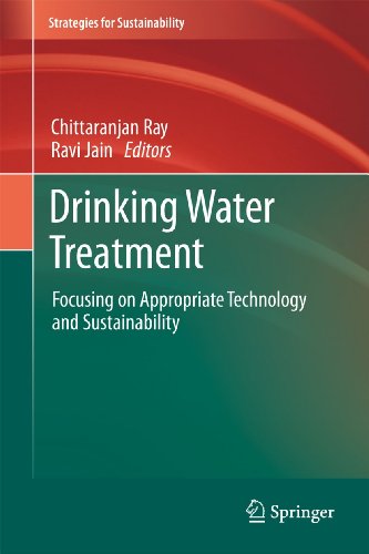 Imagen de archivo de Drinking Water Treatment : Focusing on Appropriate Technology and Sustainability a la venta por Ria Christie Collections