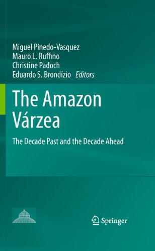 9789400790216: The Amazon Vrzea: The Decade Past and the Decade Ahead