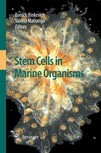 Stock image for Stem Cells in Marine Organisms for sale by Ria Christie Collections