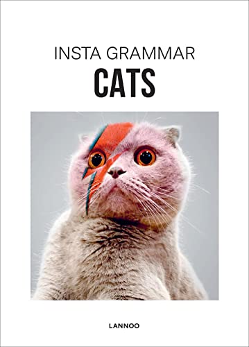 Beispielbild fr Insta Grammar: Cats zum Verkauf von medimops