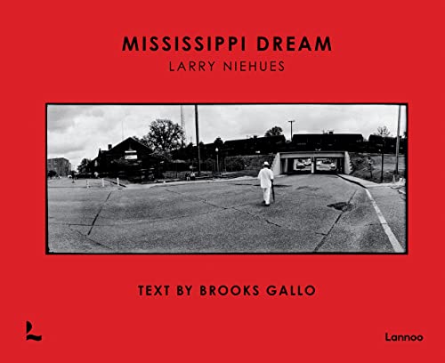 Beispielbild fr Mississippi Dream zum Verkauf von Books From California