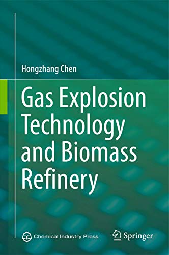 9789401774123: Gas Explosion Technology and Biomass Refinery