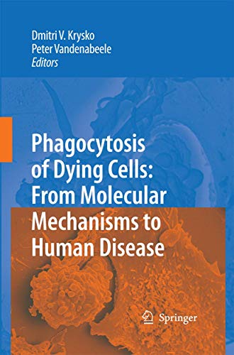 Stock image for Phagocytosis of Dying Cells: From Molecular Mechanisms to Human Diseases for sale by Ria Christie Collections