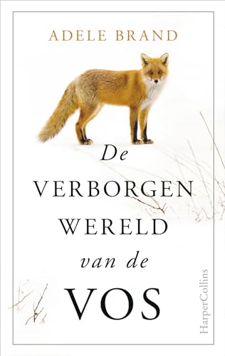 Stock image for De verborgen wereld van de vos for sale by Buchpark