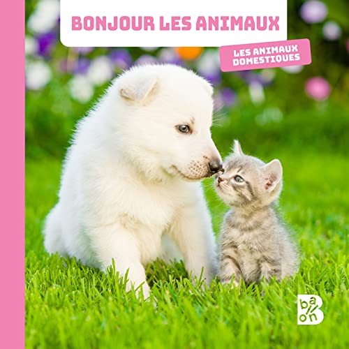 Imagen de archivo de Les animaux domestiques (Bonjour les animaux, 1) a la venta por WorldofBooks