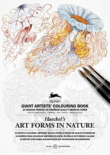 Stock image for ART FORMS IN NATURE XXL COLOURING BOOK for sale by Zilis Select Books