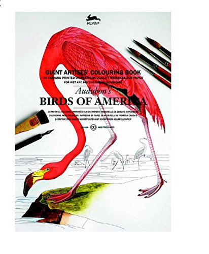 Beispielbild fr Audubon's Birds of America : Giant Artists' Colouring Book zum Verkauf von Better World Books