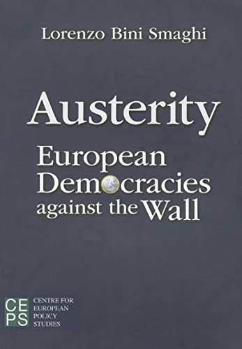 9789461383303: Austerity: European Democracies against the Wall