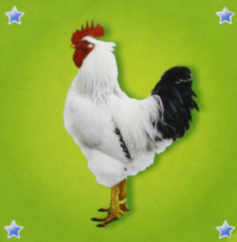 Animal Blocks - Rooster Green (9789461511355) by [???]