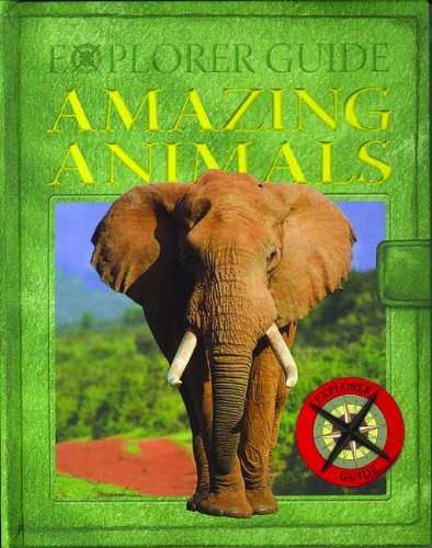 Amazing Animals (9789461515551) by Traditional