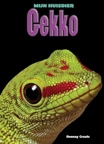 9789461751133: Gekko (Mijn huisdier)