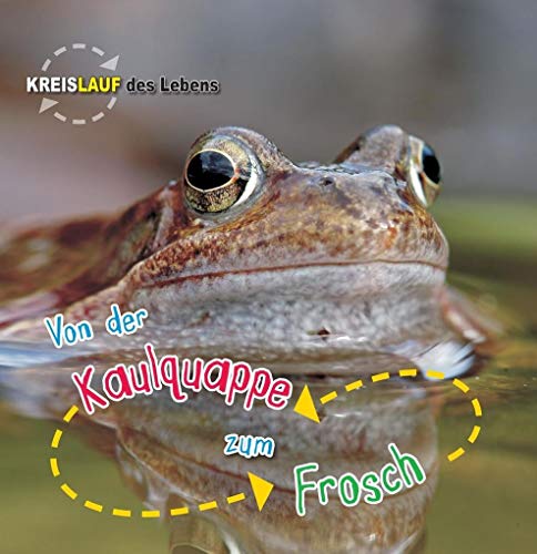 Beispielbild fr Von der Kaulquappe zum Frosch, Kreislauf des Lebens -Language: german zum Verkauf von GreatBookPrices