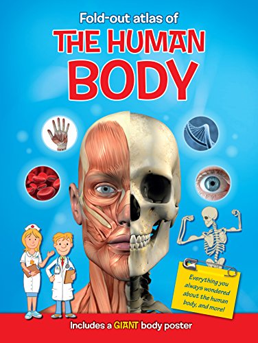 Beispielbild fr Fold-Out Atlas of the Human Body zum Verkauf von Better World Books