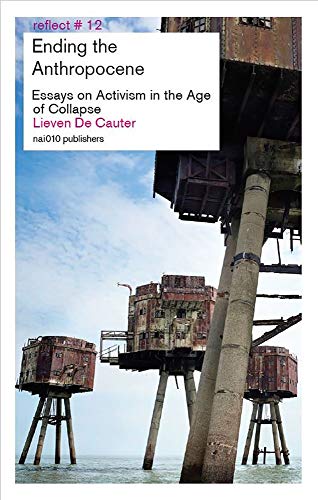 Imagen de archivo de Ending the Anthropocene : Essays on Activism in the Age of Collapse a la venta por Better World Books: West