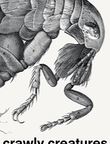 Beispielbild fr Crawly Creatures : Depiction and Appreciation of Insects and Other Critters in Art and Science zum Verkauf von Better World Books