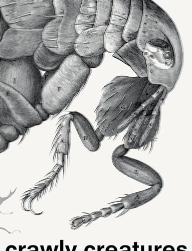 Stock image for Crawly Creatures : Depiction and Appreciation of Insects and Other Critters in Art and Science for sale by Better World Books