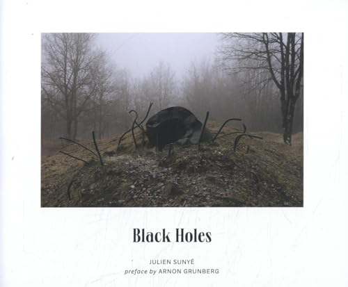 Stock image for Black Holes for sale by Louis Tinner Bookshop
