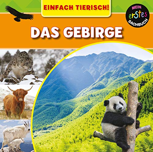 Stock image for Das Gebirge for sale by Revaluation Books