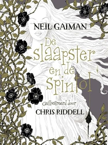 Stock image for De slaapster en de spintol for sale by Buchpark