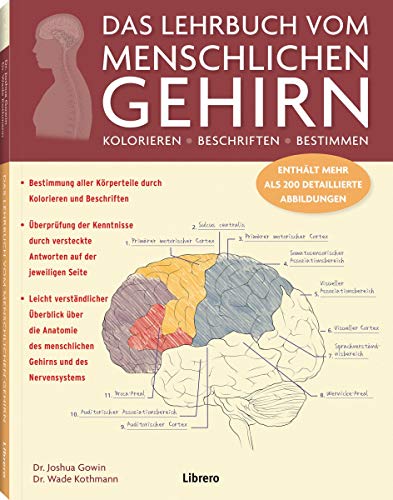 Stock image for DAS LEHRBUCH VOM MENSCHLICHEN GEHIRN: Ein Einblick in Gehirn und Nervensystem des Menschen for sale by medimops