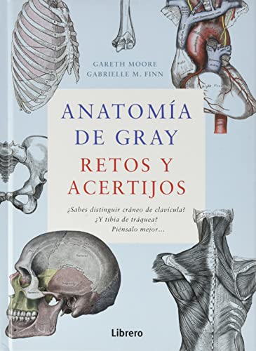 Stock image for Anatoma de gray for sale by AG Library