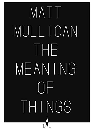 Beispielbild fr Matt Mullican: The Meaning of Things zum Verkauf von Housing Works Online Bookstore