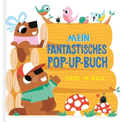 9789464545951: Mein fantastisches Pop-Up-Buch - Tiere im Wald